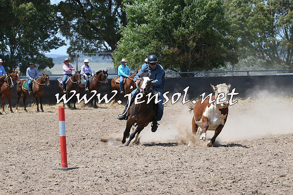 BraidwoodCampdraft2014_0863
