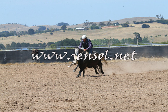 BraidwoodCampdraft2014_0729