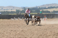 BraidwoodCampdraft2014_0668
