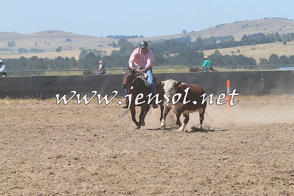 BraidwoodCampdraft2014_0668