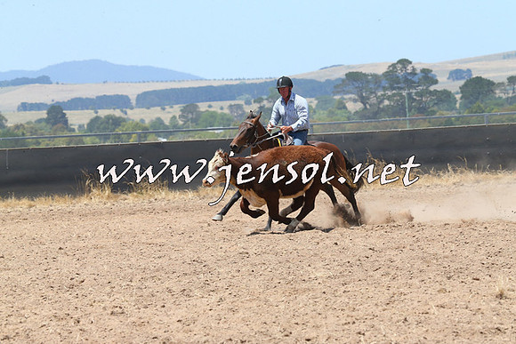 BraidwoodCampdraft2014_0886