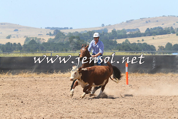 BraidwoodCampdraft2014_0679