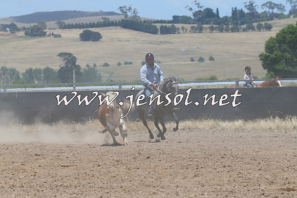 BraidwoodCampdraft2014_1020