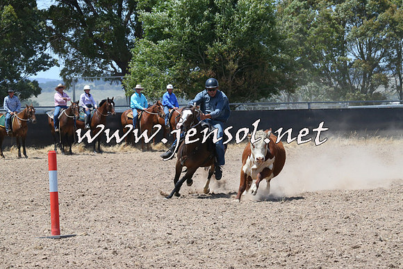 BraidwoodCampdraft2014_0860