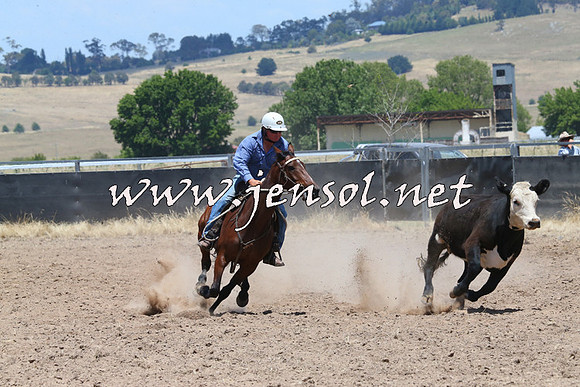 BraidwoodCampdraft2014_1042