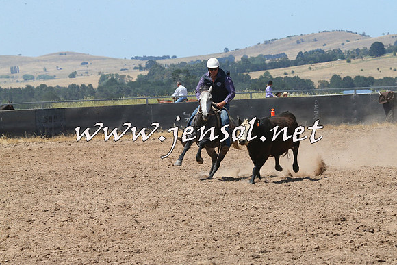 BraidwoodCampdraft2014_0739