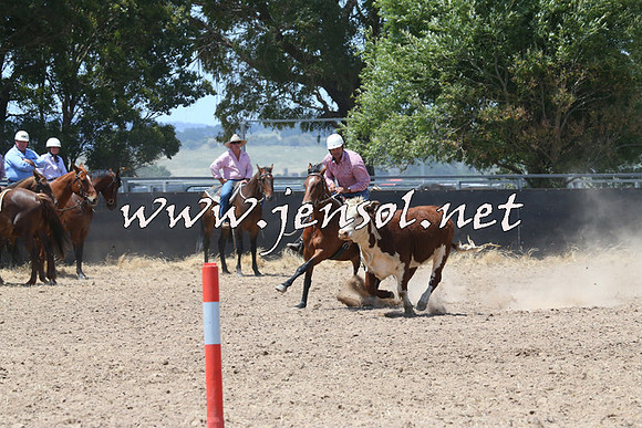 BraidwoodCampdraft2014_0873