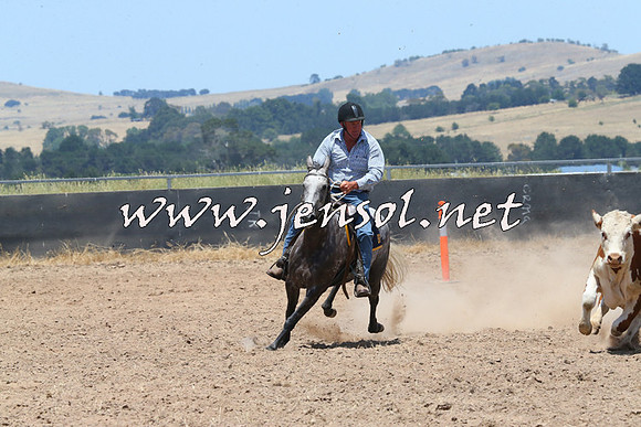 BraidwoodCampdraft2014_1018