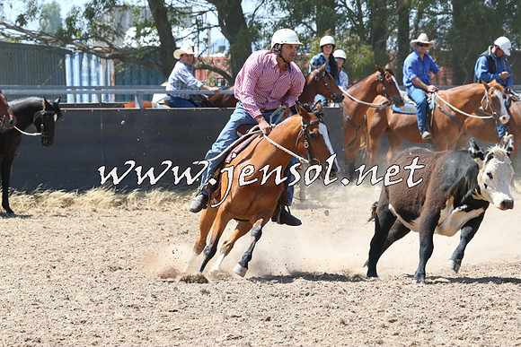 BraidwoodCampdraft2014_0723