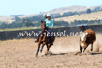 BraidwoodCampdraft2014_0644
