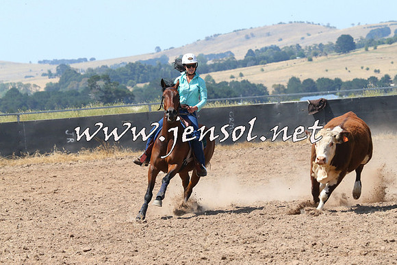 BraidwoodCampdraft2014_0644