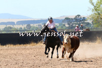 BraidwoodCampdraft2014_0641