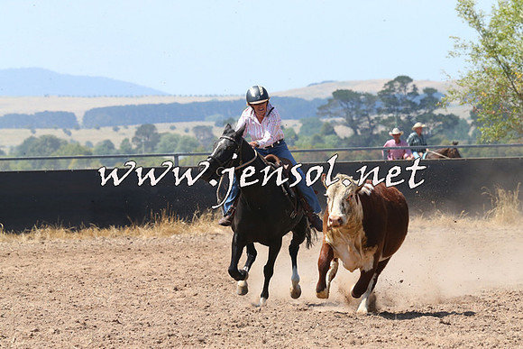 BraidwoodCampdraft2014_0641