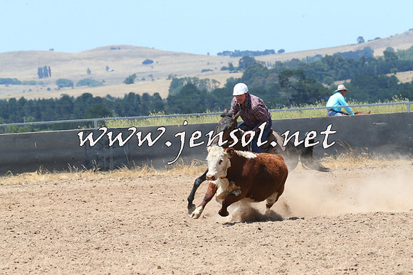 BraidwoodCampdraft2014_0880