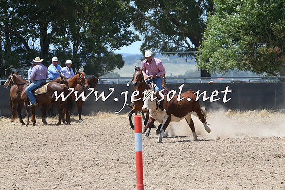 BraidwoodCampdraft2014_0869
