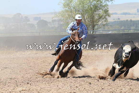 BraidwoodCampdraft2014_0697
