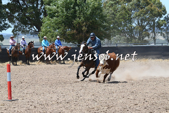 BraidwoodCampdraft2014_0853