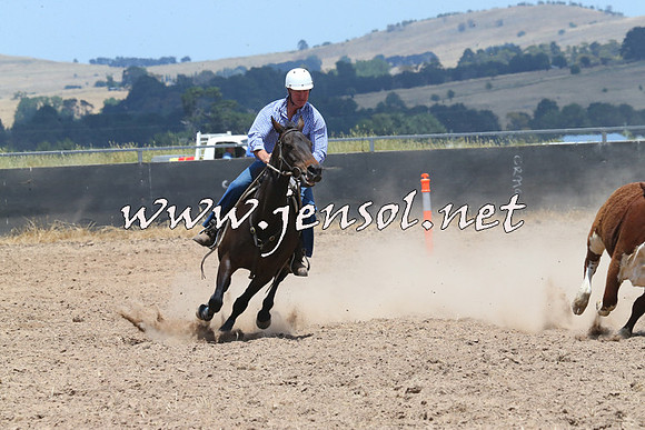 BraidwoodCampdraft2014_1070