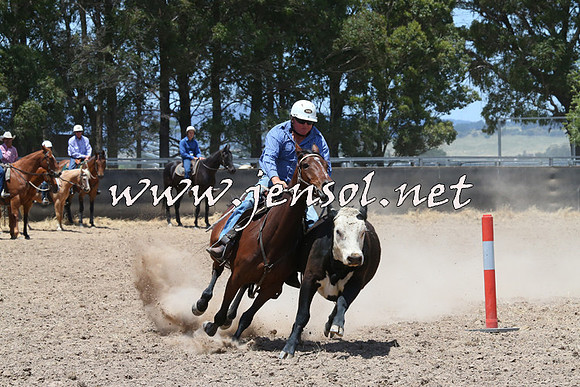 BraidwoodCampdraft2014_1059