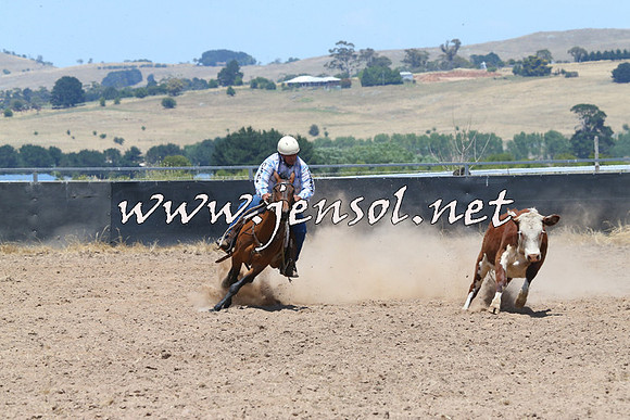 BraidwoodCampdraft2014_1001