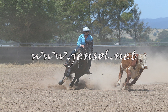 BraidwoodCampdraft2014_0993