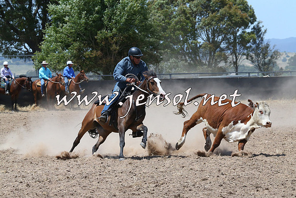 BraidwoodCampdraft2014_0858