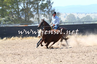 BraidwoodCampdraft2014_0653