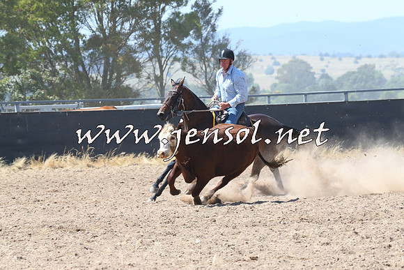 BraidwoodCampdraft2014_0653