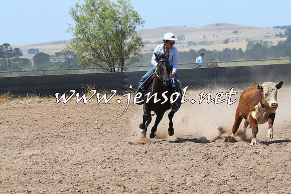 BraidwoodCampdraft2014_0763