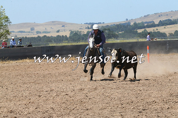 BraidwoodCampdraft2014_0737