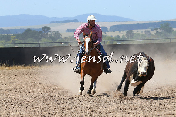 BraidwoodCampdraft2014_0714