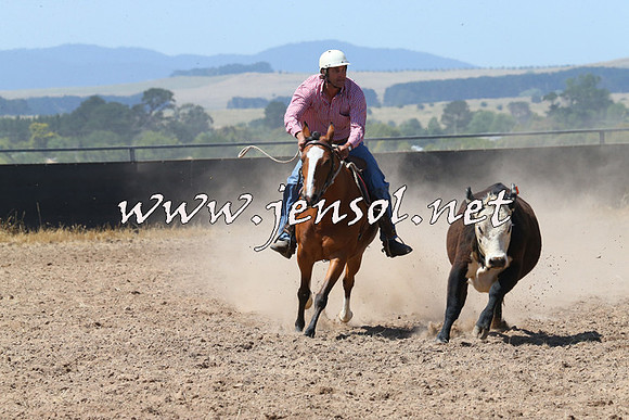 BraidwoodCampdraft2014_0715
