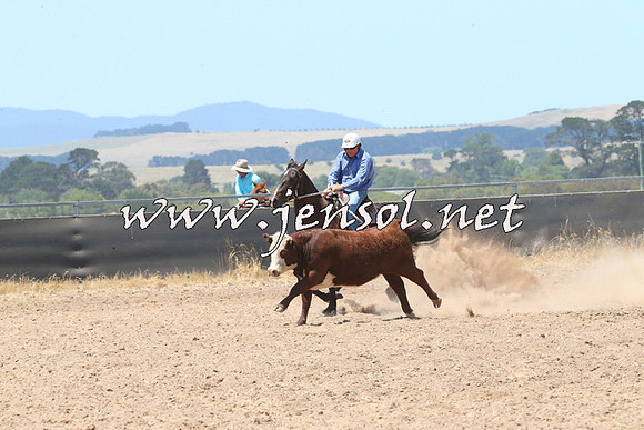 BraidwoodCampdraft2014_0896