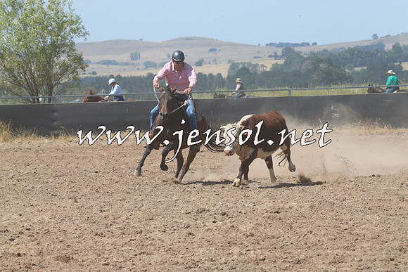 BraidwoodCampdraft2014_0674