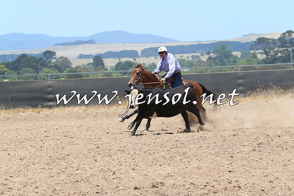 BraidwoodCampdraft2014_1032