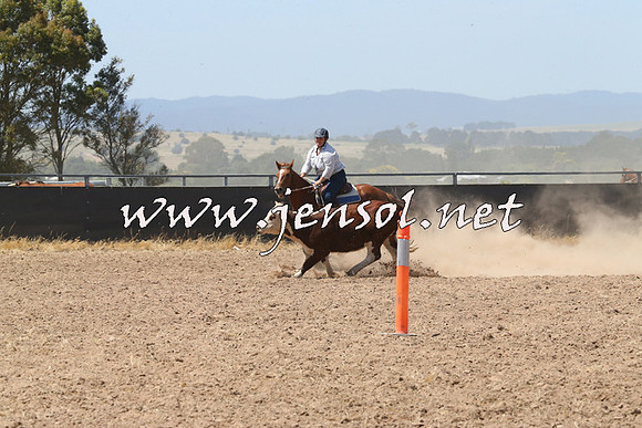 BraidwoodCampdraft2014_0752