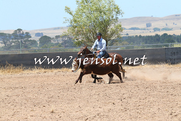 BraidwoodCampdraft2014_0890