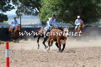 BraidwoodCampdraft2014_0656
