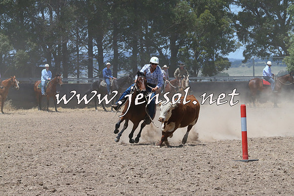 BraidwoodCampdraft2014_0983