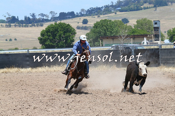 BraidwoodCampdraft2014_1043