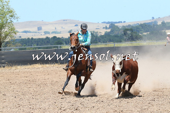 BraidwoodCampdraft2014_1009