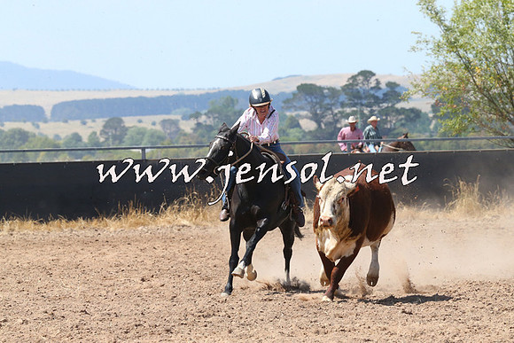 BraidwoodCampdraft2014_0640