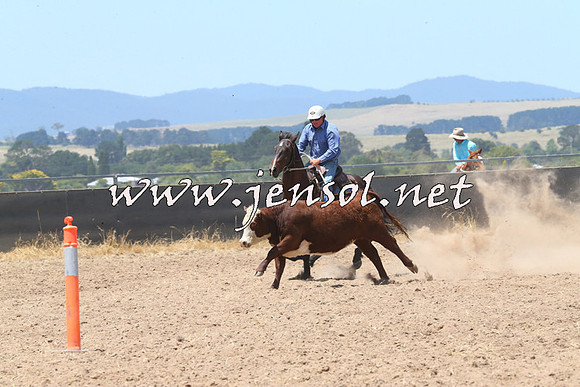 BraidwoodCampdraft2014_0897