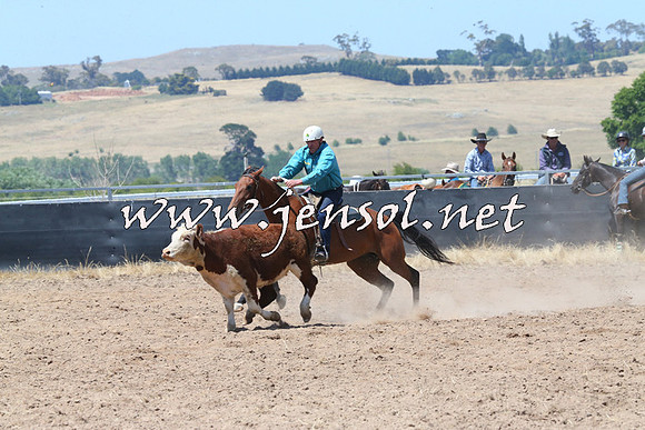 BraidwoodCampdraft2014_0778