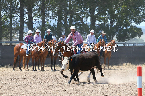 BraidwoodCampdraft2014_0721