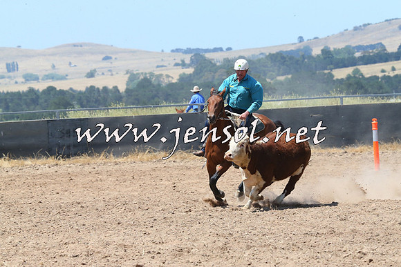 BraidwoodCampdraft2014_0784