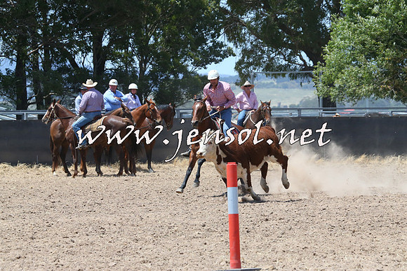 BraidwoodCampdraft2014_0868