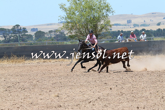 BraidwoodCampdraft2014_0929