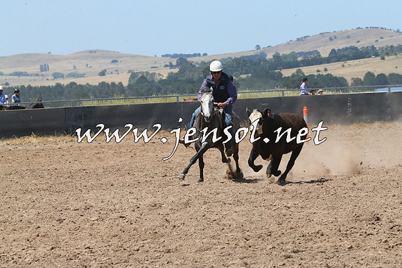 BraidwoodCampdraft2014_0741