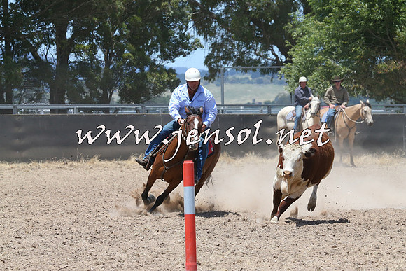 BraidwoodCampdraft2014_0967